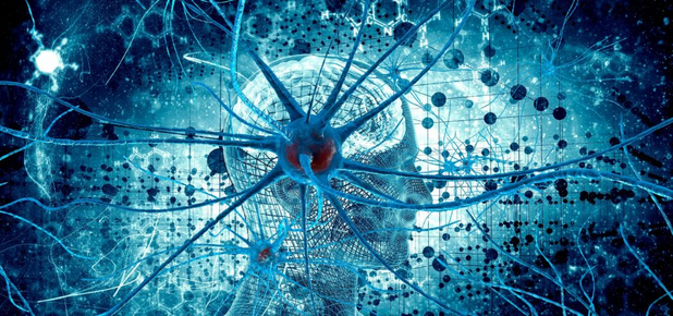 [Ольга Сварник] Введение в когнитивную нейронауку. Лекция 2. «Чтение» нейронных групп (2025)