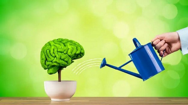 [Елена Петри] Память, которая помогает достигать, преподавать и успевать жить. Алфавит памяти (2020)