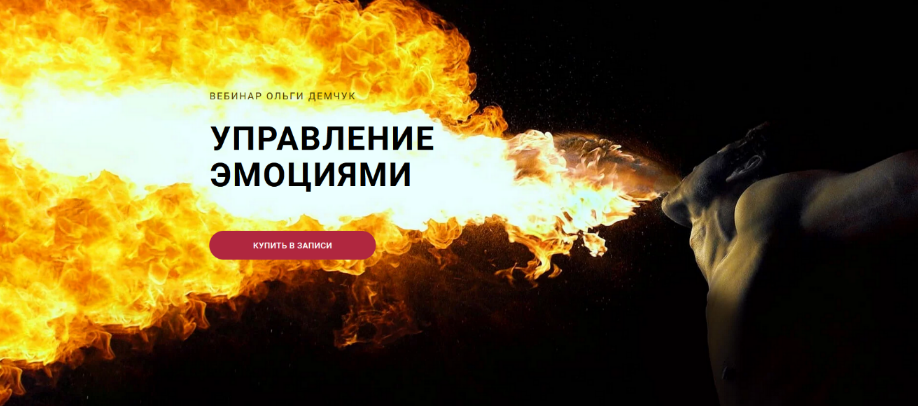 [Ольга Демчук] Управление эмоциями (2024)