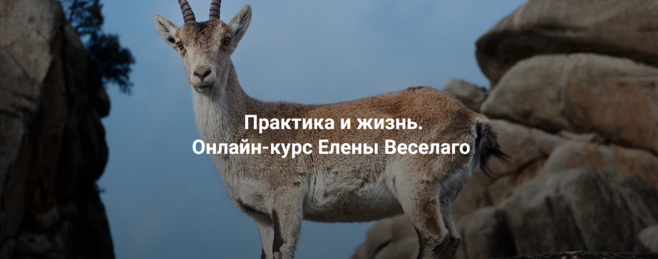 [Елена Веселаго] [Институт Открытого Поля] Практика и жизнь. Ступень 2 (2024)
