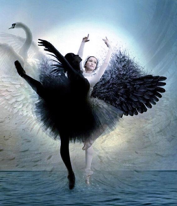 [Наталья Приймаченко] Интеграция Тени (2024)