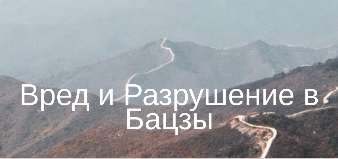 [Юлия Бальсина] Вред и разрушение в Бацзы (2024)