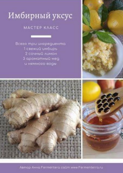[Анна Fermenterra] [Fermenterra] Имбирный уксус (2023)
