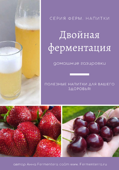 [Анна Fermenterra] [Fermenterra] Двойная ферментация, домашние газировки (2023)
