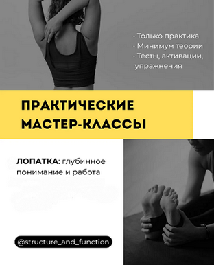 [Александр Волоткевич] Лопатка: глубинное понимание и работа (2025)