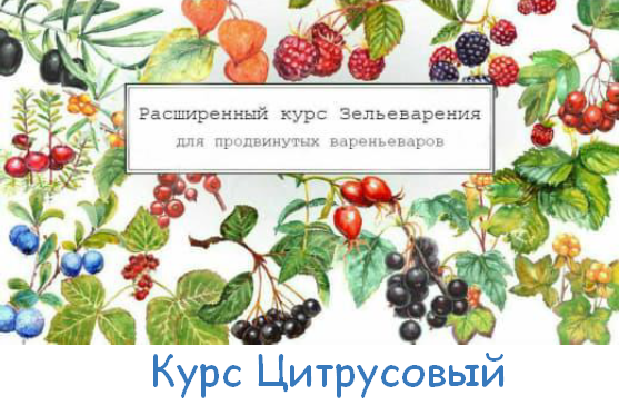 [Ирина Таро] Большой Цитрусовый курс (2023)