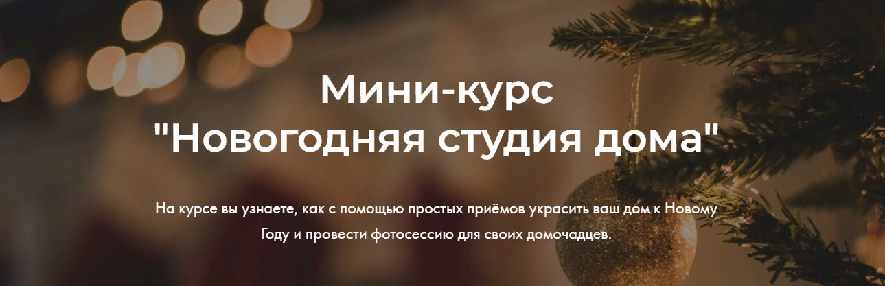 [Яна Савина] Новогодняя студия дома (2023)