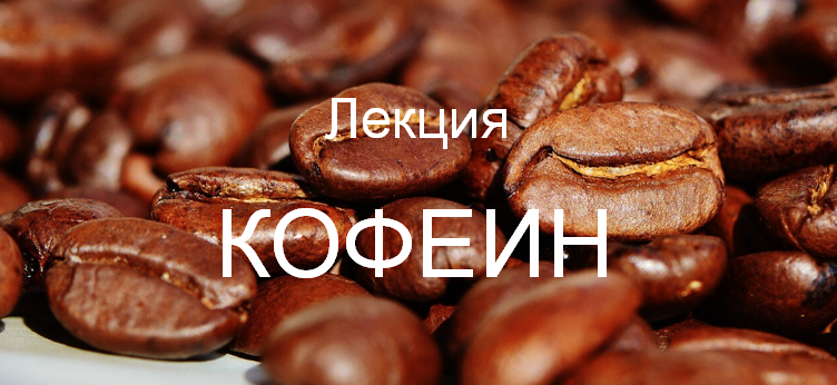 [Валерий Подрубаев] [humberto 2.0] Кофеин (2025)