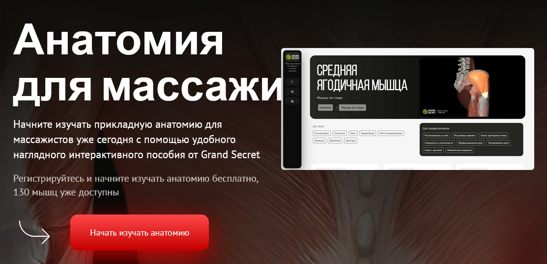 [Максим Волков] [Grand Secret] Анатомия для массажиста. Тариф Для профи (2024)