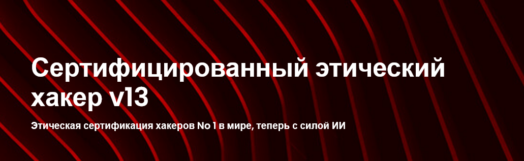 [AreaWeb] Laravel - лучшее, что сделал Тейлор (2024)