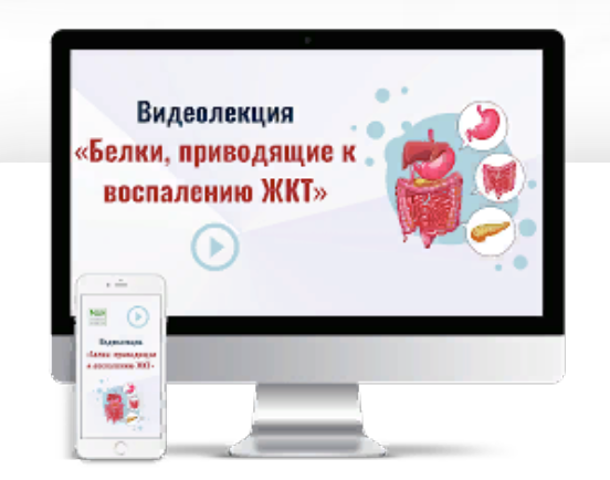 [Алексей Листошенков] Белки, приводящие к воспалению ЖКТ (2024)