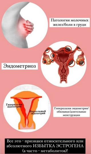 [Гарбузова Галa] Школа здоровья Эндометриоз (2023)