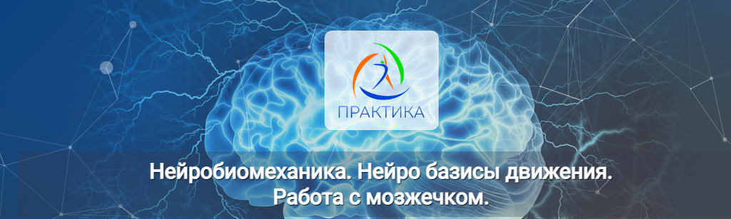 [Альмир Марванов][Центр Практика] Нейробиомеханика. Нейро базисы движения. Работа с мозжечком (2022)