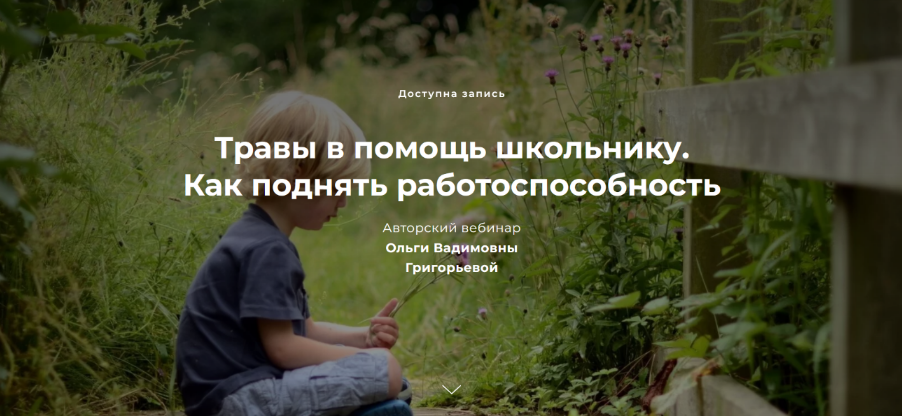 [Ольга Григорьева] Травы в помощь школьнику. Как поднять работоспособность (2022)
