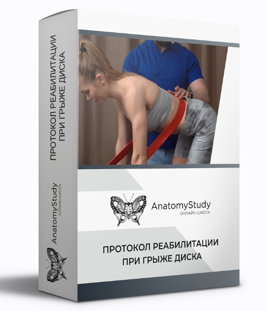 [Андрей Богатырев] [Анатомия] Протокол реабилитации при грыже диска (2022)