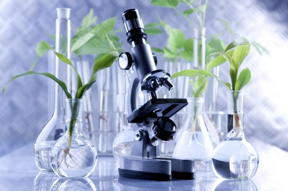 [Анна Павлычева] Общий анализ крови: расшифровка (2022)