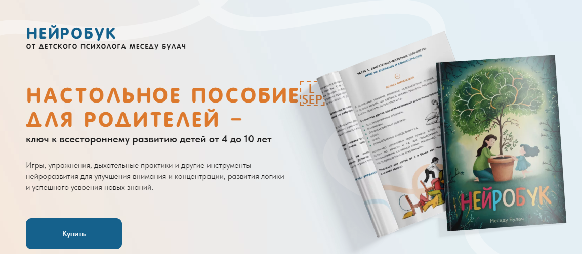 [Меседу Булач] Нейробук (2024)