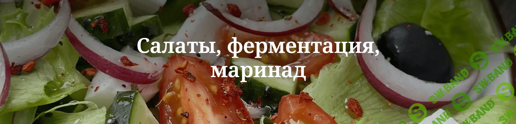 [valeria_purelife] Салаты, ферментация, маринад (2024)