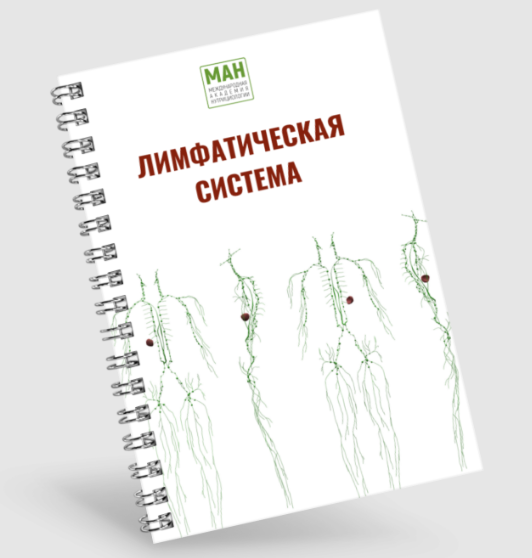 [Международная Академия Нутрициологии] Гайд по работе с лимфой (2024)