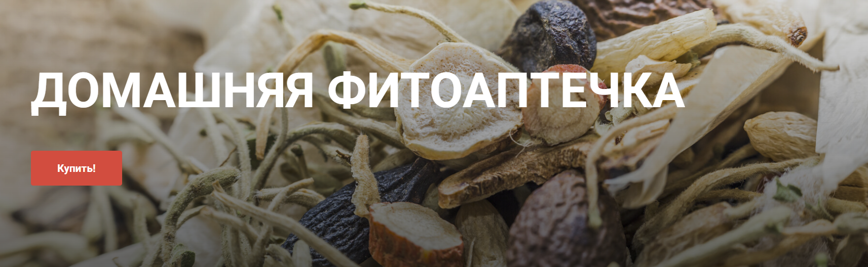 [akademiyatkm.ru] Ольга Евдокимова ― Домашняя фитоаптечка (2025)