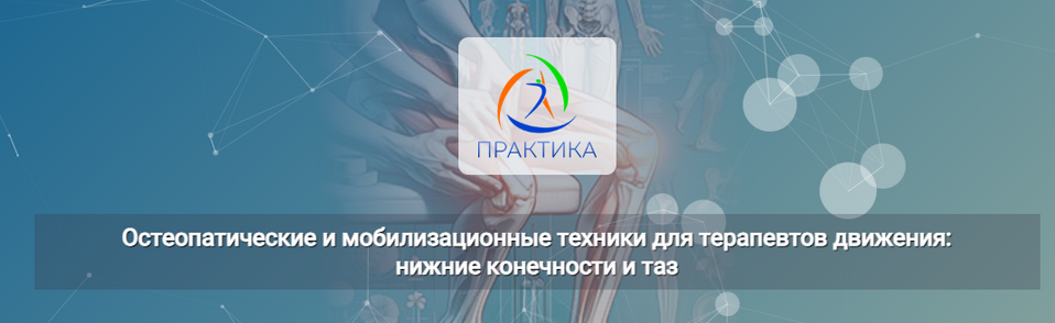 [Е.Шинина, Е.Долгова] Остеопатические и мобилизационные техники для терапевтов движения (2025)