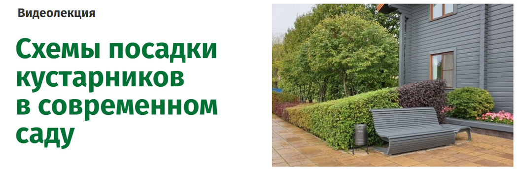 [Наталья Мягкова] Схемы посадки кустарников в современном саду (2025)