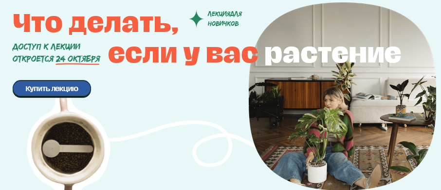 [Яна Строинская] Что делать если у вас растение? Тариф Сами с Усами (2024)