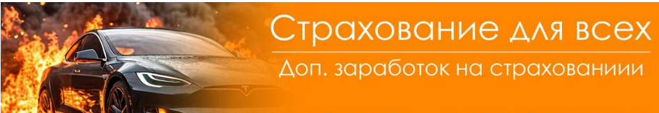 [Petr009] Страхование для всех. Домашний агент онлайн. Доп.заработок на ОСАГО, КАСКО, ипотеке (2025)