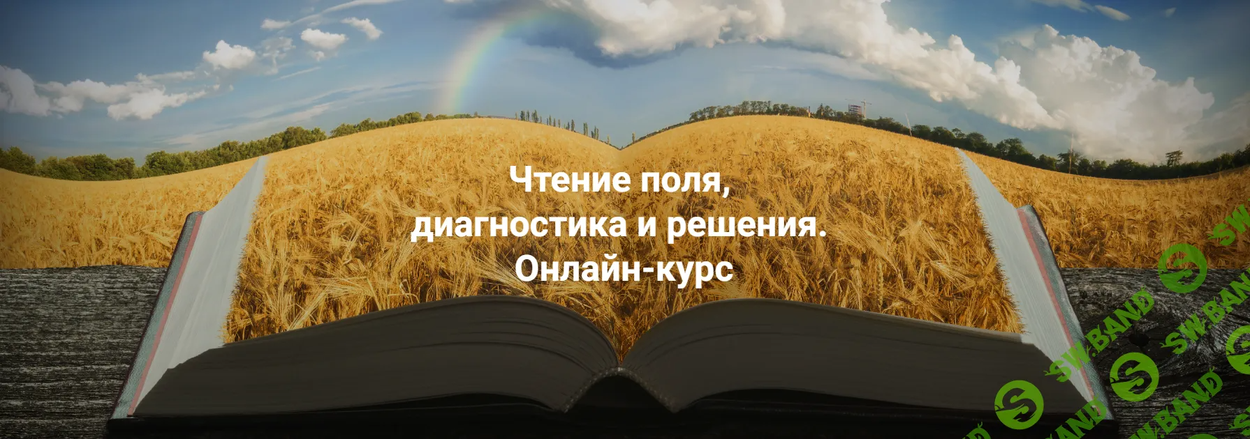 [Институт открытого поля] Чтение поля, диагностика и решения .Тариф Апгрейд до пакета «Полный» (2024)