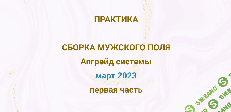 [Эмилия Франк] Практика Сборка мужского поля. Апгрейд системы (2023)