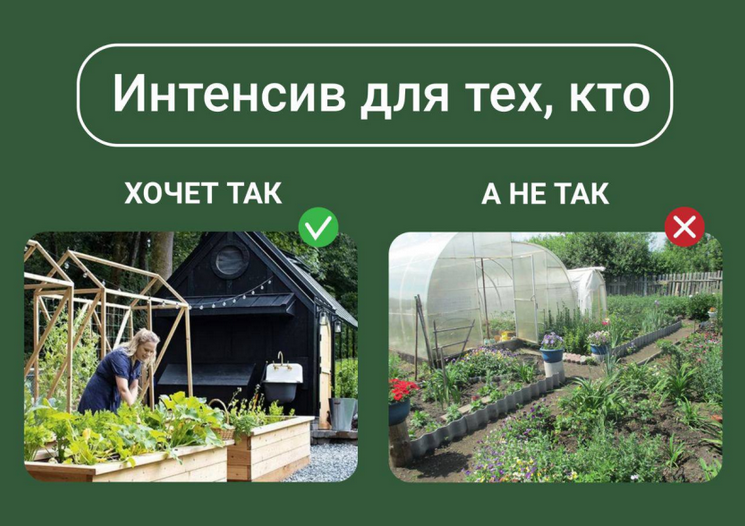 [Марина Берестова] Дизайн современного огорода (2024)
