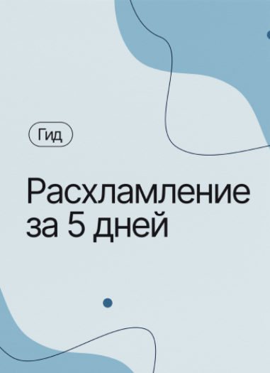 [Алексей Кувшинов] [Любава и Алексей] Гид «Расхламление за 5 дней» (2023)