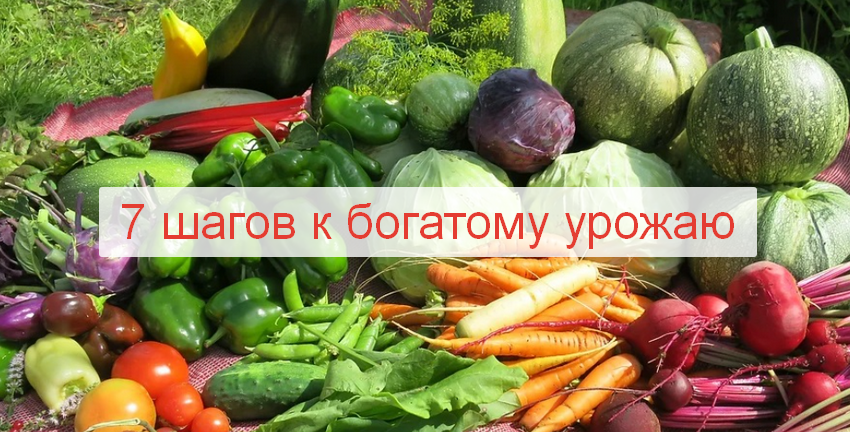 [Алёна Волкова] [Алёнин сад] 7 шагов к богатому урожаю (2023)