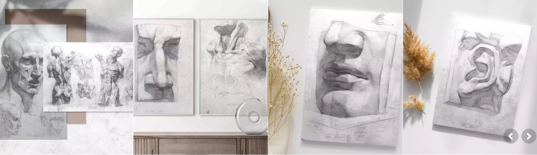 [Lectoroom] Пластическая анатомия. Большой курс (2022)