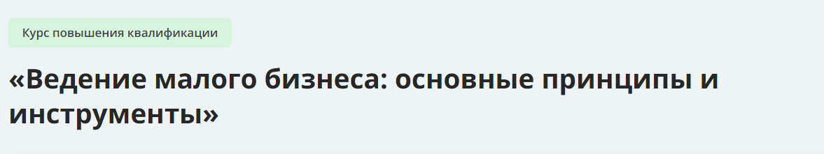 [Инфоурок] Ведение малого бизнеса: основные принципы и инструменты (2024)