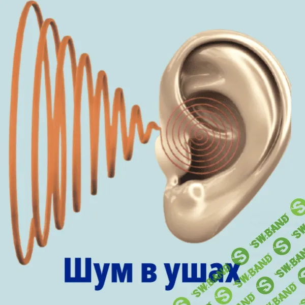 [Оверченко К. В., Борисов А. С.] Все о шуме в ушах - видеогайд (2023)