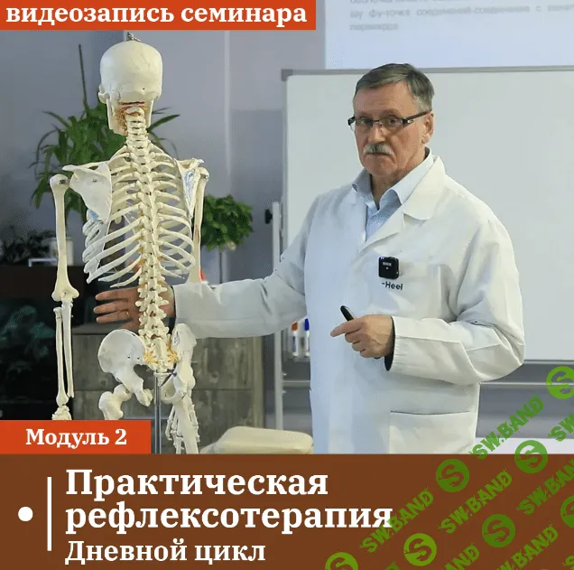 [Сандал] Практическая рефлексотерапия. Модуль 2. Дневной цикл (2023)