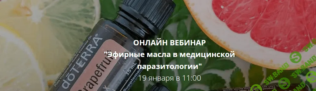 [Игорь Кауфман] Эфирные масла в медицинской паразитологии (2022)