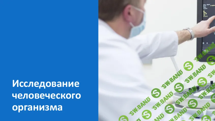 [Инфоурок] Исследование человеческого организма - основы физиологии (2024)