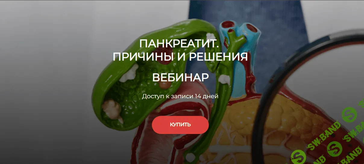 [Humberto 2.0] Панкреатит. Причины и решения (2024)