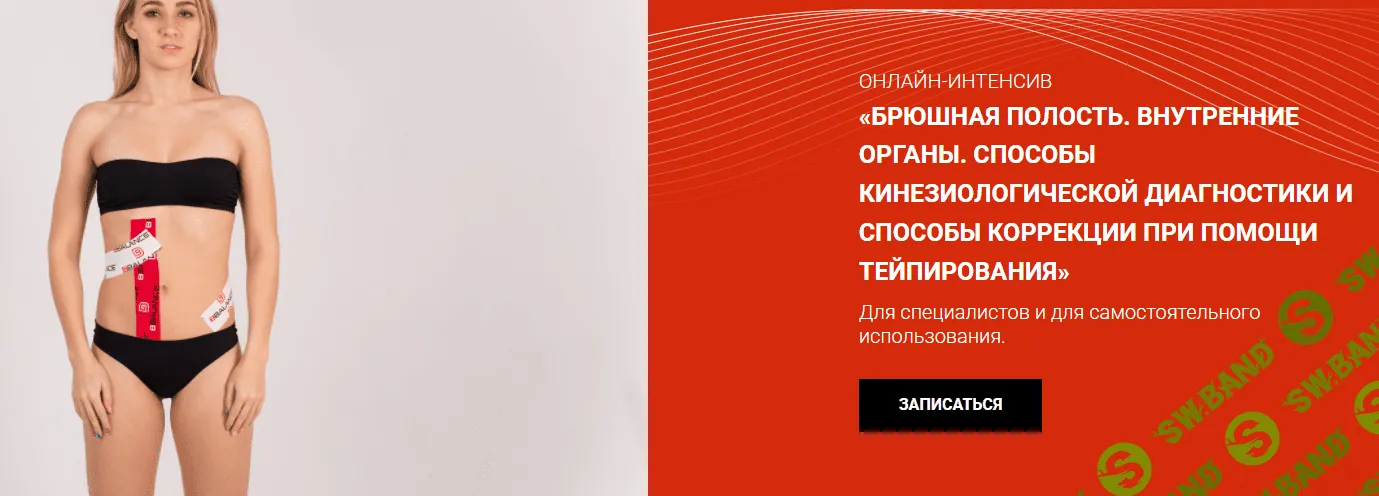 [Евгения Чижикова] Брюшная полость. Внутренние органы (2022)