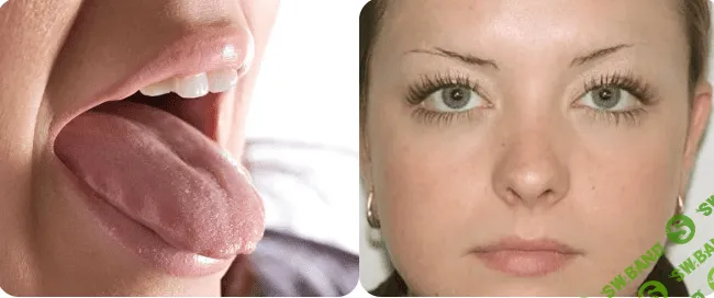 [Ольга Евдокимова] Клуб Здоровье - инструкция к применению. Снижение функции щитовидной железы (2023)