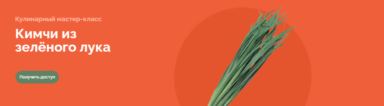 [Ferment in Wonderland] [Мария Сочилкина] Кимчи из зелёного лука (2023)