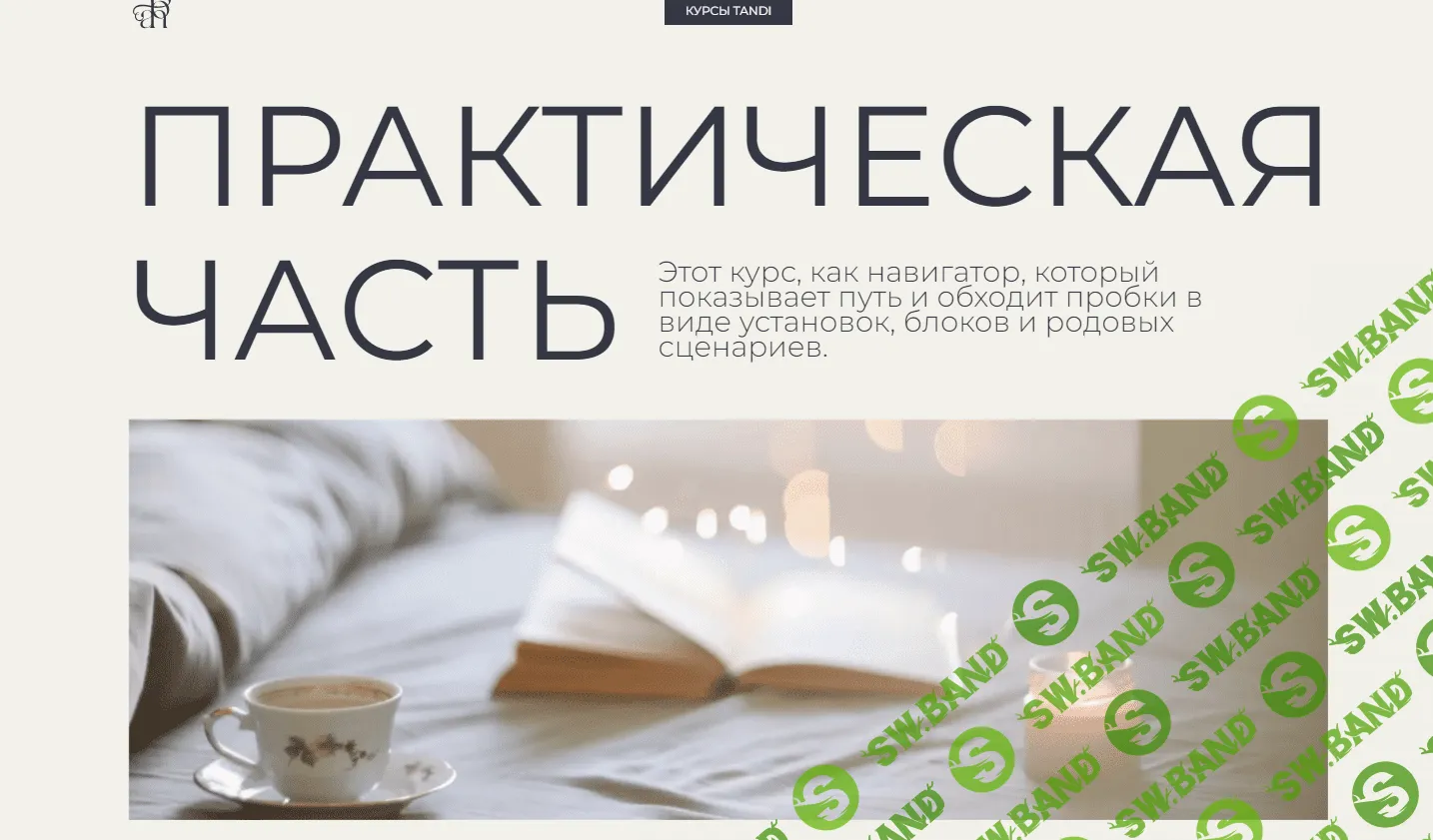 [Гаяне Тандилян] Большой курс психологии. Практическая часть (2023)