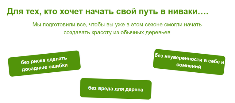 [Андрей Даусенков] Дерево как произведение искусства. Пакет Будущий мастер (2025)