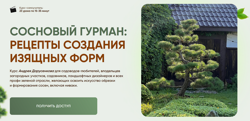 [Андрей Дарусенков] Сосновый гурман: рецепты создания изящных форм (2025)